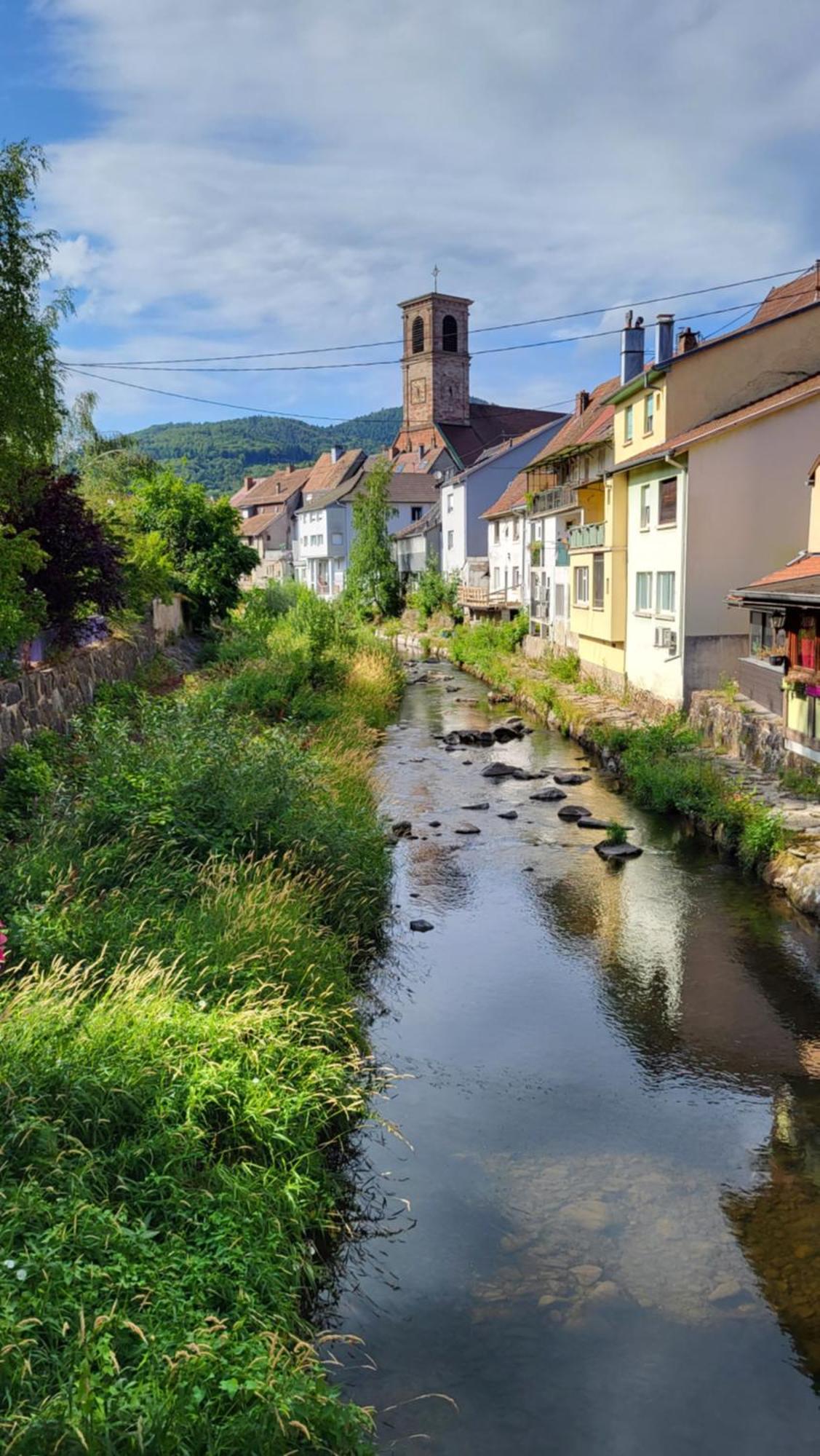 Gite Violette Et Pierrot Masevaux-Niederbruck Buitenkant foto