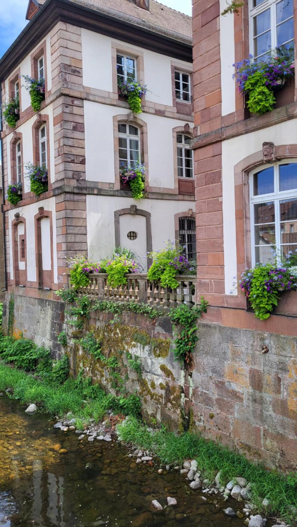 Gite Violette Et Pierrot Masevaux-Niederbruck Buitenkant foto