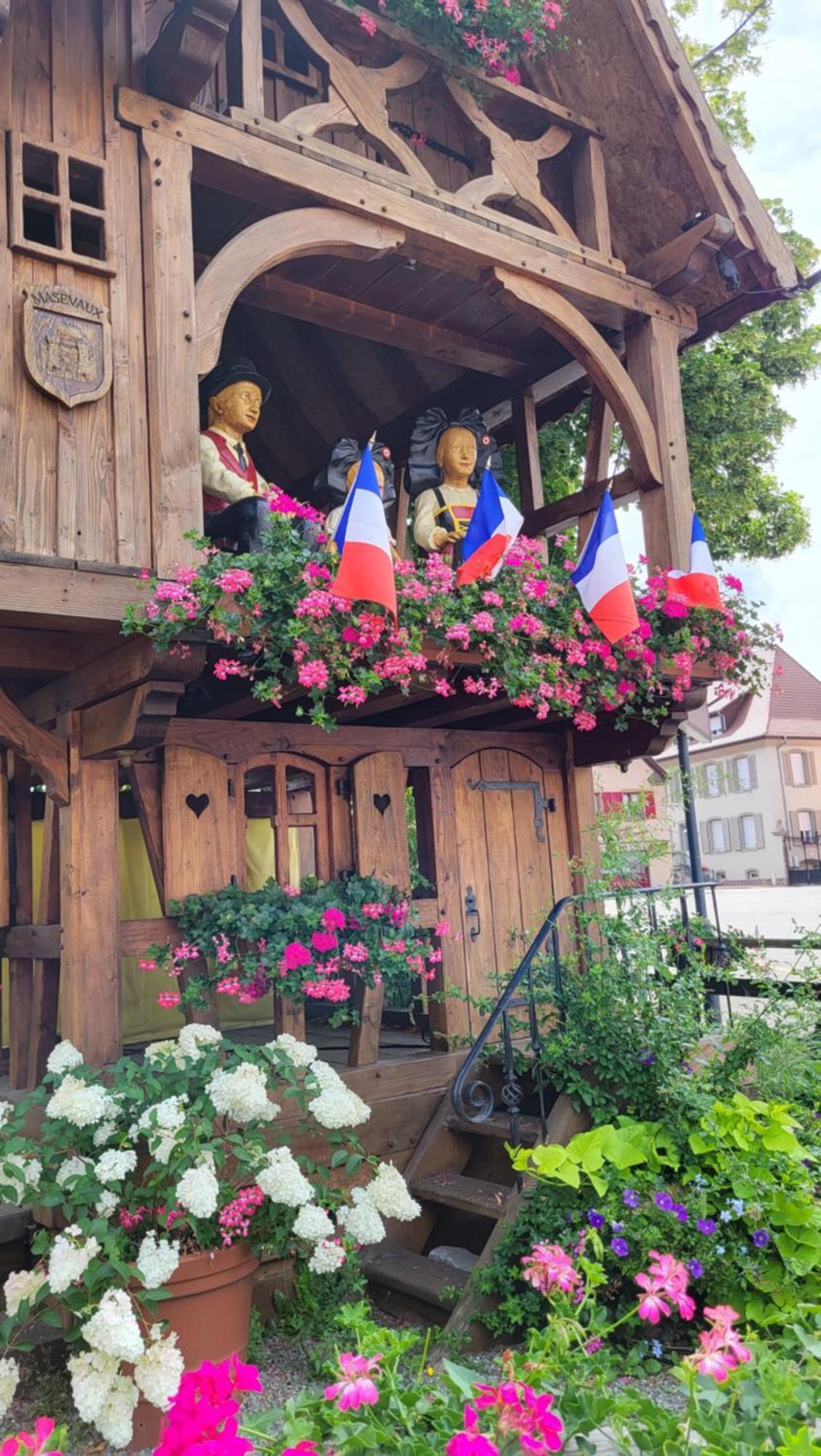 Gite Violette Et Pierrot Masevaux-Niederbruck Buitenkant foto