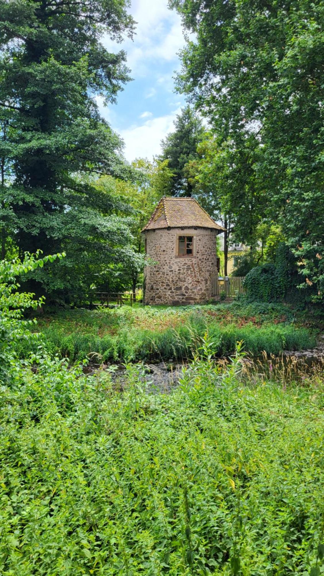 Gite Violette Et Pierrot Masevaux-Niederbruck Buitenkant foto