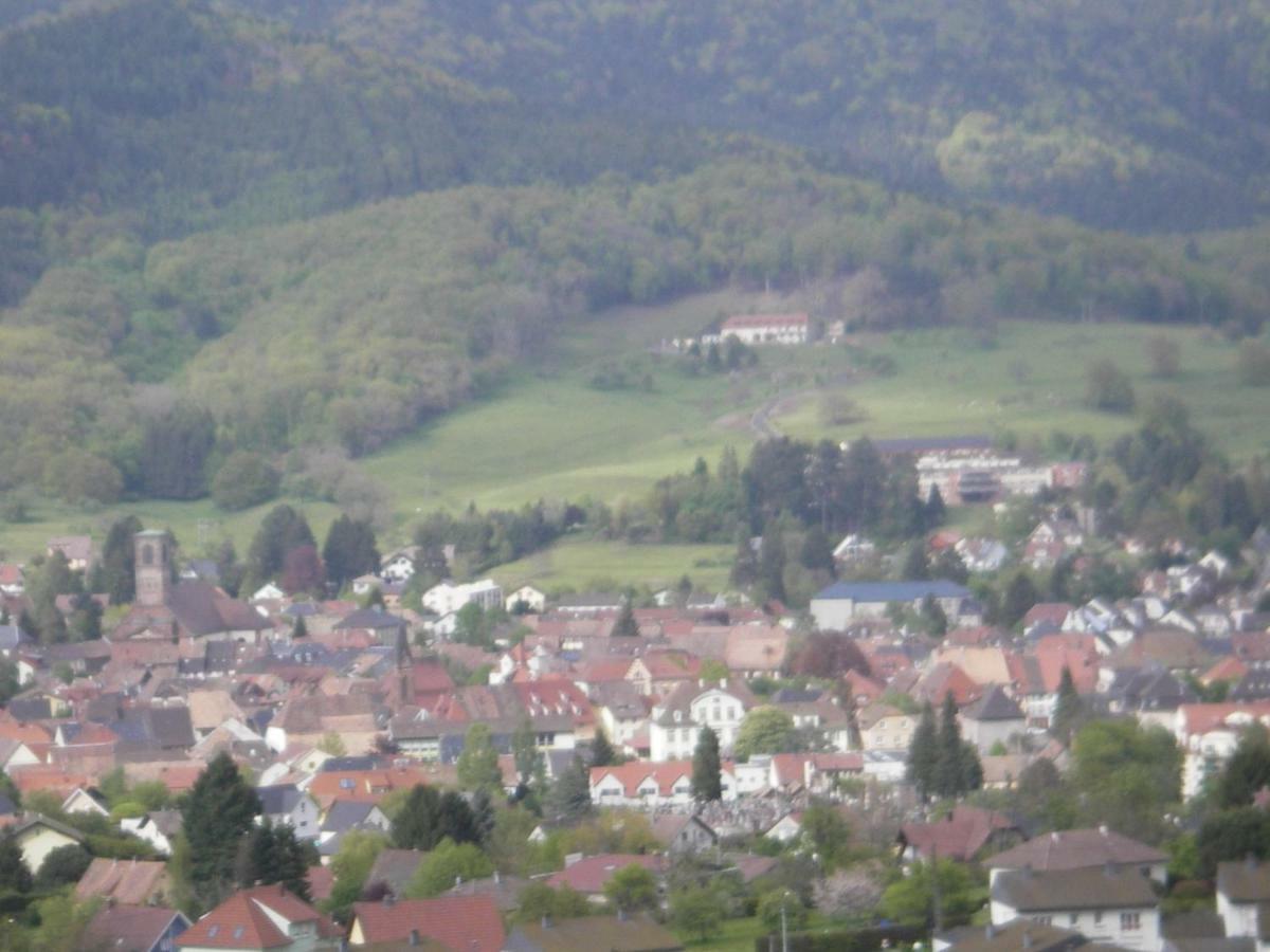 Gite Violette Et Pierrot Masevaux-Niederbruck Buitenkant foto