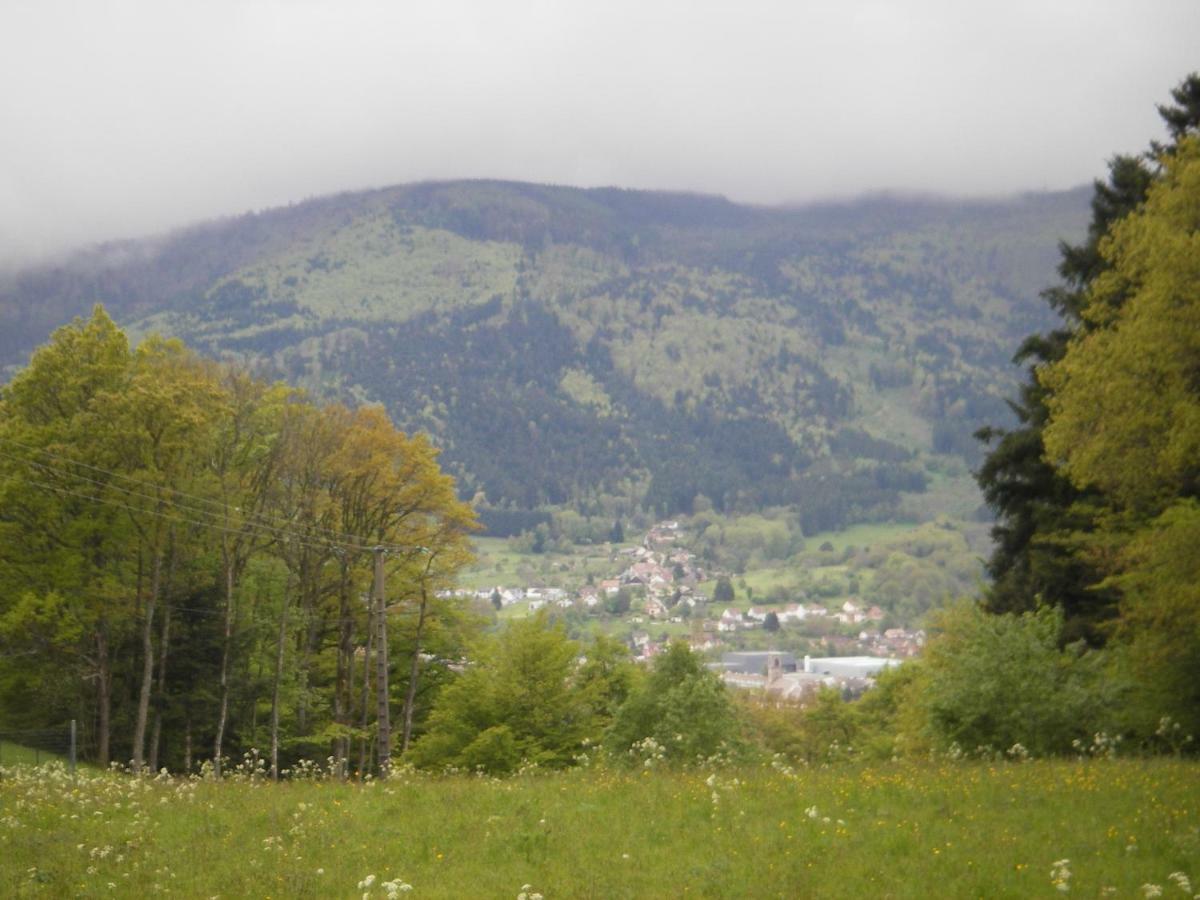 Gite Violette Et Pierrot Masevaux-Niederbruck Buitenkant foto